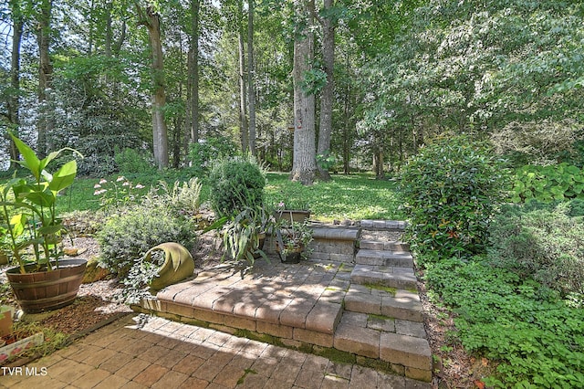 4700 Weaver Pike, Bluff City, TN 37618 - view of yard featuring a patio area