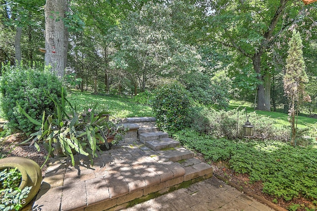 4700 Weaver Pike, Bluff City, TN 37618 - view of yard featuring a patio