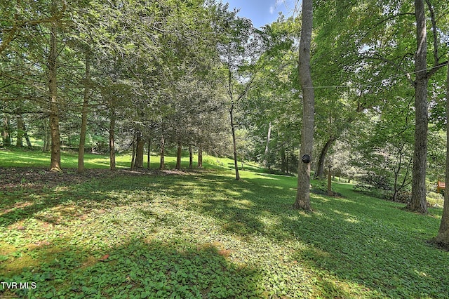 4700 Weaver Pike, Bluff City, TN 37618 - view of grassy yard