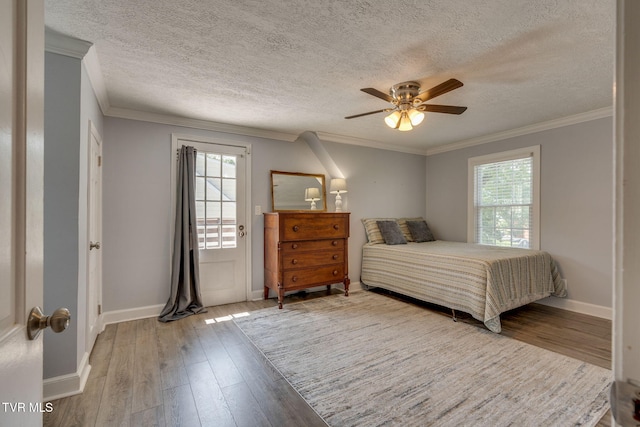 1121 Watauga St, Kingsport, TN 37660 - bedroom with multiple windows, wood finished floors, crown molding, a textured ceiling, and ceiling fan