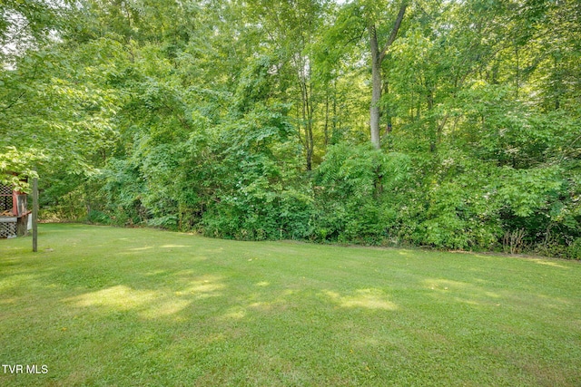 1000 Tranbarger Dr, Kingsport, TN 37660 - photo 30