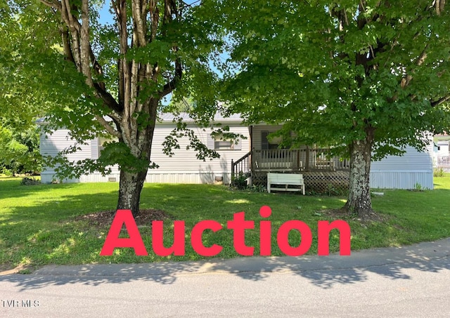 113 Liberty Hollow Rd, Elizabethton, TN 37643 - view of front of property featuring a front lawn and a wooden deck
