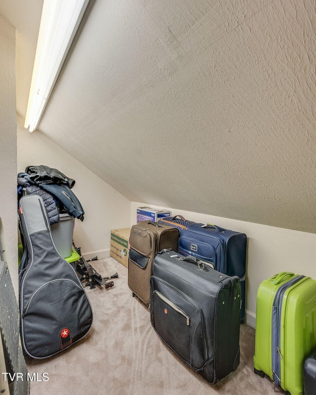 2424 Rivermont Dr, Kingsport, TN 37660 - view of storage area