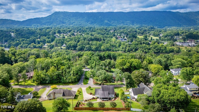 2424 Rivermont Dr, Kingsport, TN 37660 - bird's eye view of a mountainous background and a heavily wooded area