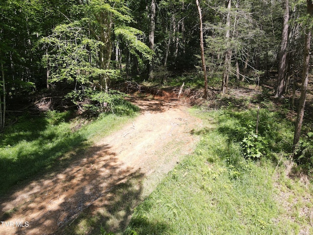 TBD Whispering Pines Rd, Johnson City, TN 37601 - photo 3
