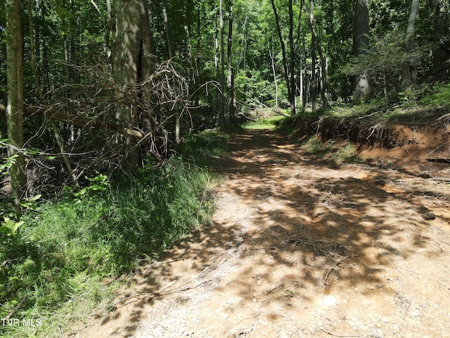 TBD Whispering Pines Rd, Johnson City, TN 37601 - photo 4