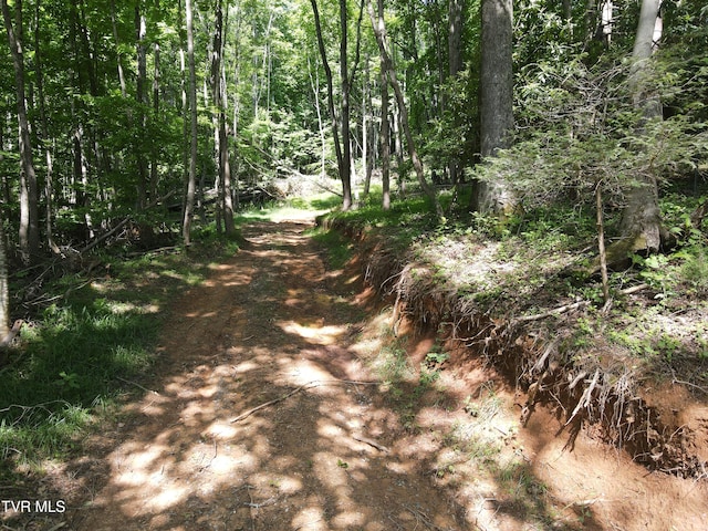 TBD Whispering Pines Rd, Johnson City, TN 37601 - photo 5