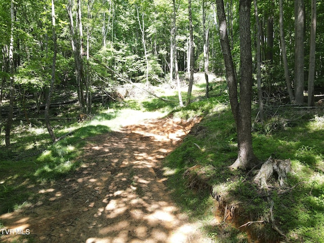 TBD Whispering Pines Rd, Johnson City, TN 37601 - photo 6