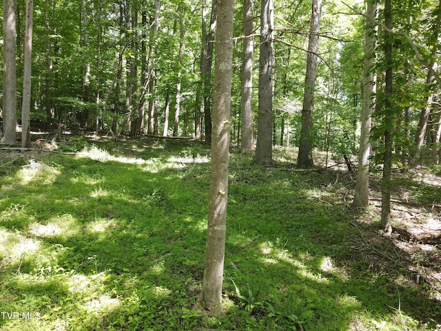 TBD Whispering Pines Rd, Johnson City, TN 37601 - photo 7
