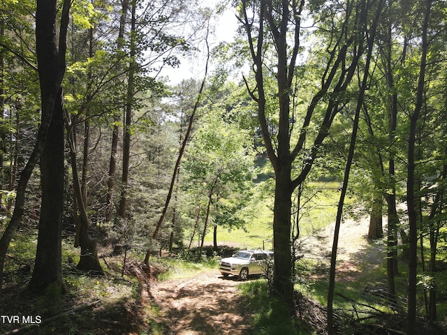 TBD Whispering Pines Rd, Johnson City, TN 37601 - photo 8