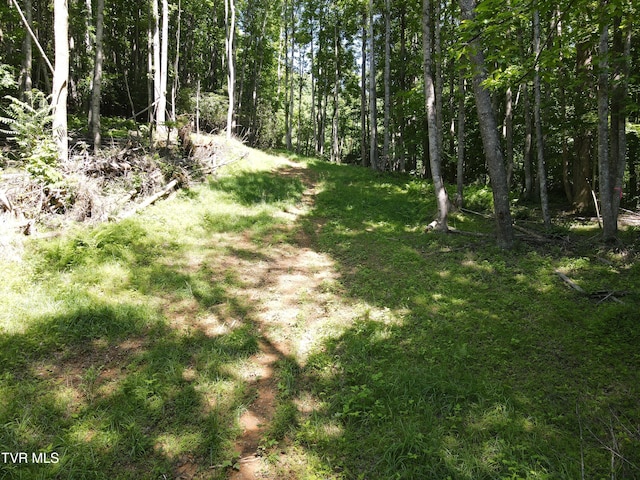 TBD Whispering Pines Rd, Johnson City, TN 37601 - photo 9