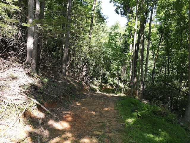 TBD Whispering Pines Rd, Johnson City, TN 37601 - photo 10