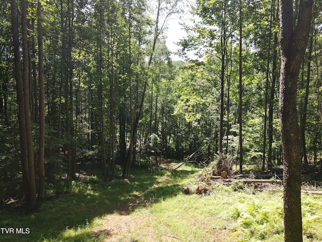 TBD Whispering Pines Rd, Johnson City, TN 37601 - photo 11