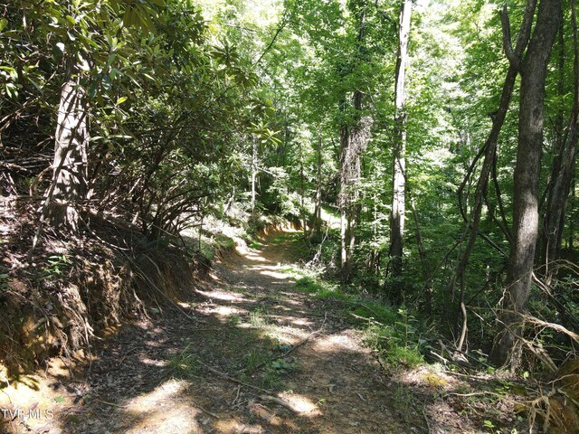 TBD Whispering Pines Rd, Johnson City, TN 37601 - photo 12