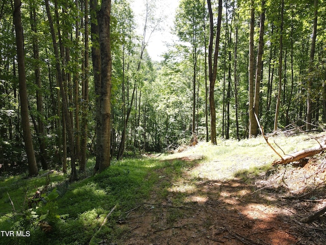 TBD Whispering Pines Rd, Johnson City, TN 37601 - photo 14