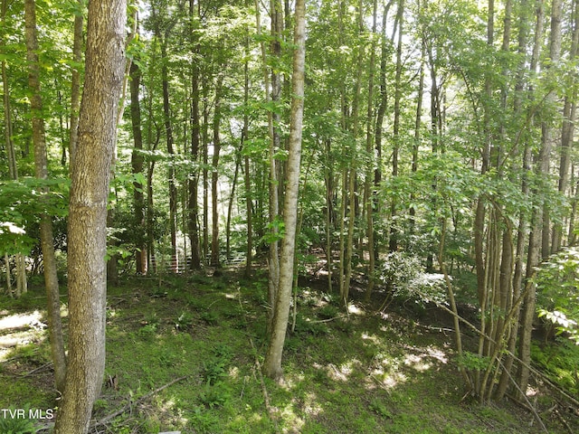 TBD Whispering Pines Rd, Johnson City, TN 37601 - photo 15