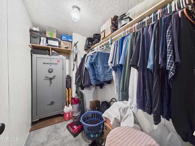 109 Wampler St, Kingsport, TN 37665 - walk in closet with carpet floors