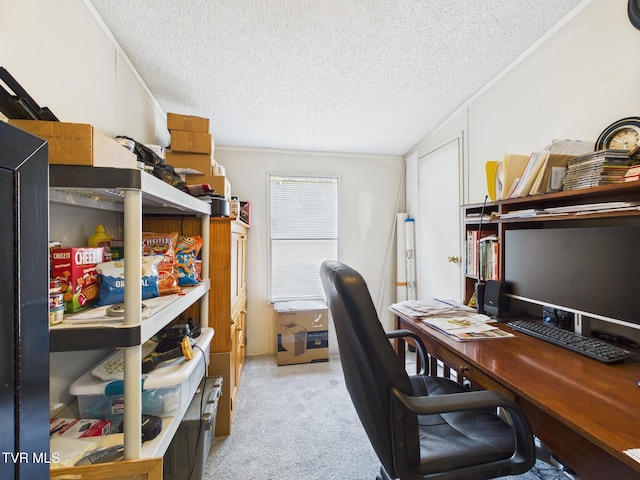 109 Wampler St, Kingsport, TN 37665 - carpeted office space with a textured ceiling and crown molding