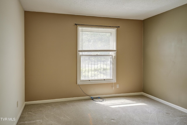 1019 Somerset Dr, Johnson City, TN 37604 - photo 29
