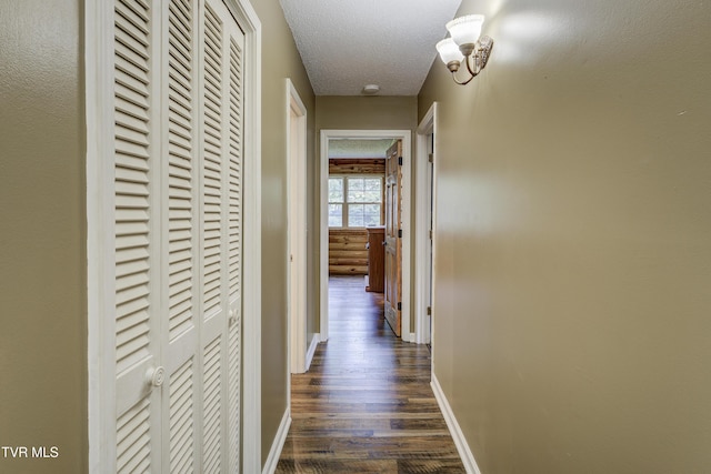 1019 Somerset Dr, Johnson City, TN 37604 - photo 34