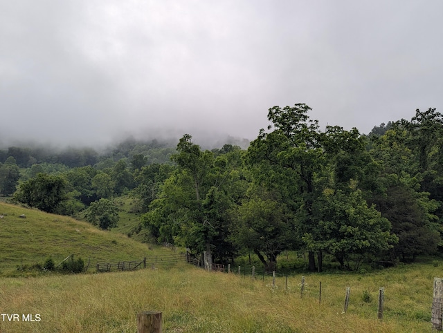 TBD Robinette Valley Rd, Duffield, VA 24244