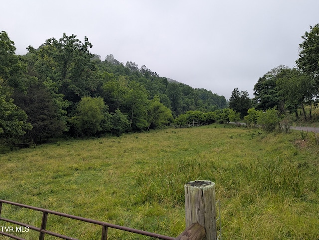 TBD Robinette Valley Rd, Duffield, VA 24244