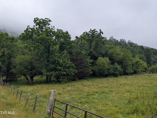 TBD Robinette Valley Rd, Duffield, VA 24244