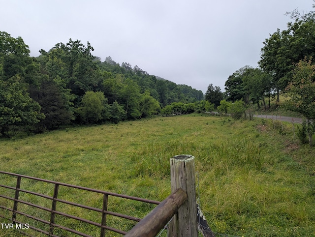 TBD Robinette Valley Rd, Duffield, VA 24244