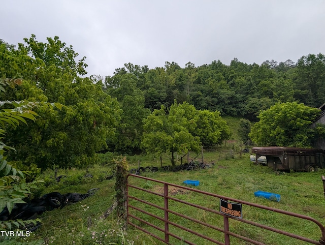 TBD Robinette Valley Rd, Duffield, VA 24244