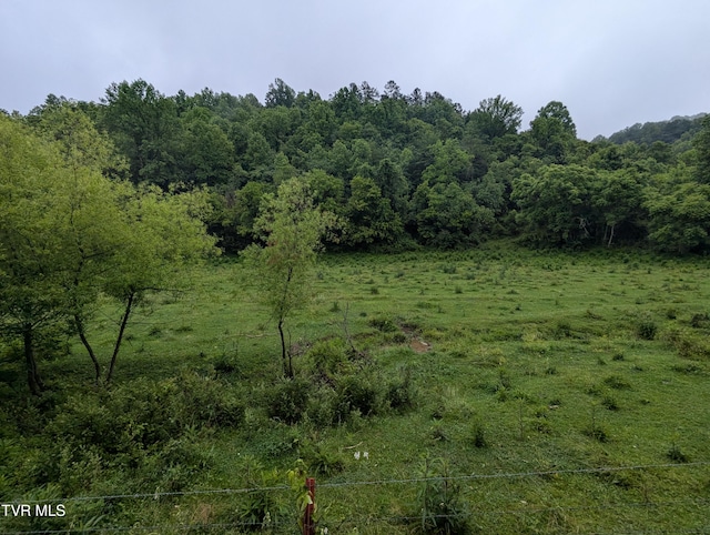 TBD Robinette Valley Rd, Duffield, VA 24244