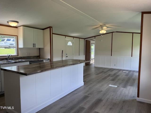 118 Clover, Jonesborough, TN 37659 - kitchen with ceiling fan, wood finished floors, a kitchen island, vaulted ceiling, and white cabinets