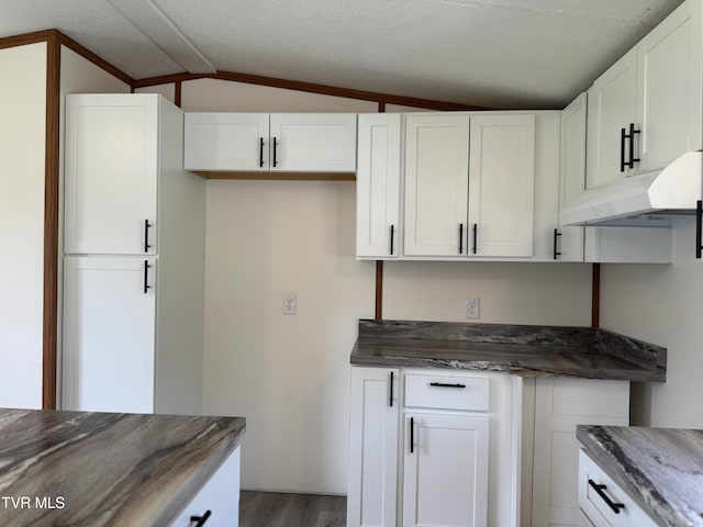 118 Clover, Jonesborough, TN 37659 - kitchen with lofted ceiling, white cabinets, dark countertops, under cabinet range hood, and a textured ceiling