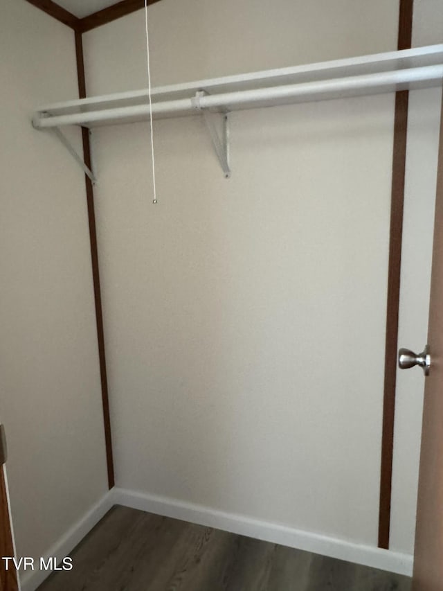 118 Clover, Jonesborough, TN 37659 - walk in closet featuring wood finished floors