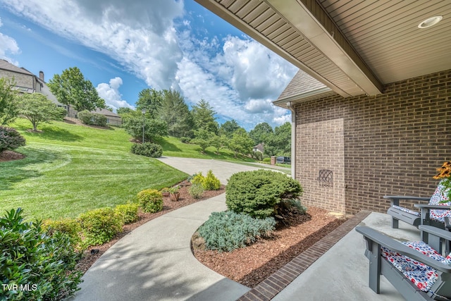 1324 White St, Kingsport, TN 37664 - photo 7
