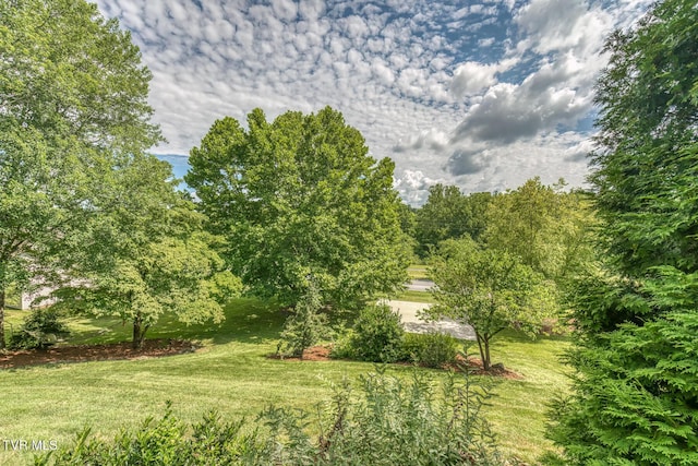 1324 White St, Kingsport, TN 37664 - photo 61