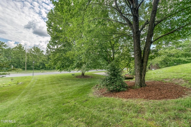 1324 White St, Kingsport, TN 37664 - photo 62