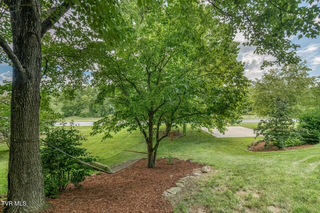 1324 White St, Kingsport, TN 37664 - photo 63