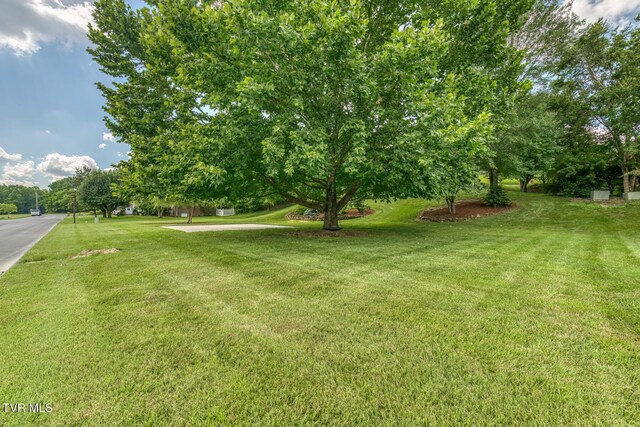 1324 White St, Kingsport, TN 37664 - photo 64
