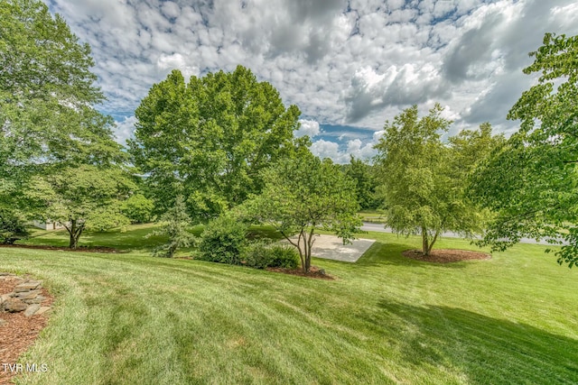 1324 White St, Kingsport, TN 37664 - photo 68