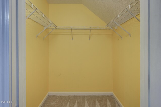 301 Hallbrook Dr Unit 301, Johnson City, TN 37615 - photo 27