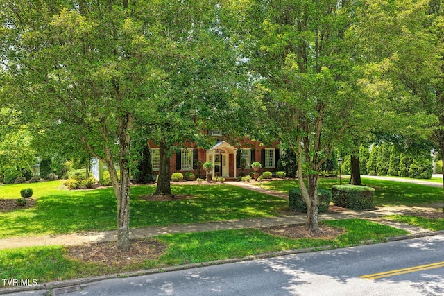 1261 Watauga St, Kingsport, TN 37660 - view of property hidden behind natural elements featuring a front lawn