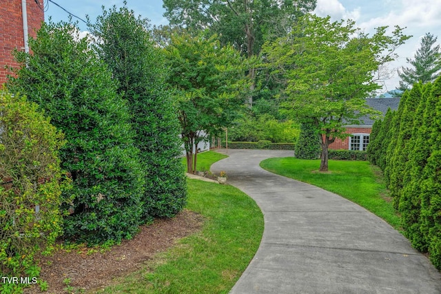 1261 Watauga St, Kingsport, TN 37660 - view of property's community with concrete driveway and a lawn