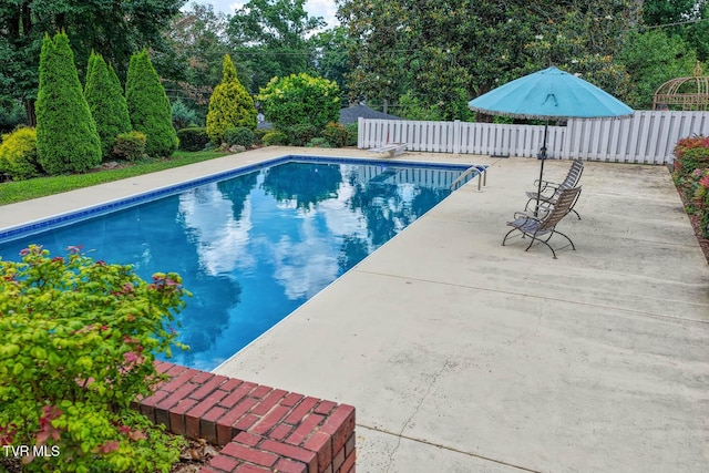 1261 Watauga St, Kingsport, TN 37660 - view of swimming pool featuring a patio area, view of wooded area, and a diving board