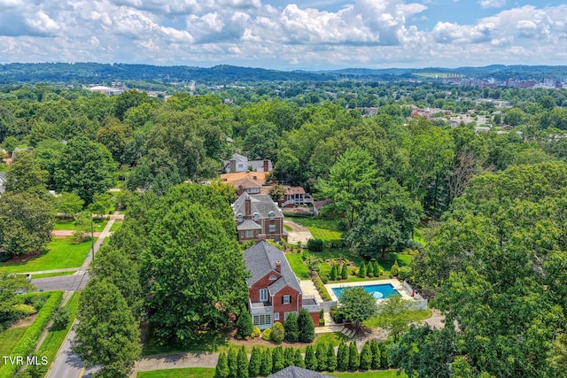 1261 Watauga St, Kingsport, TN 37660 - drone / aerial view of a forest