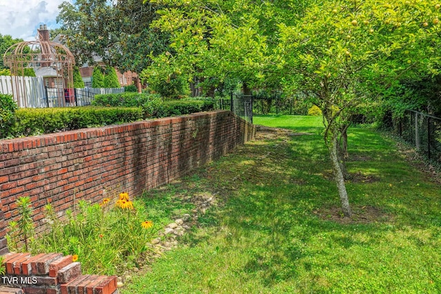 1261 Watauga St, Kingsport, TN 37660 - view of yard