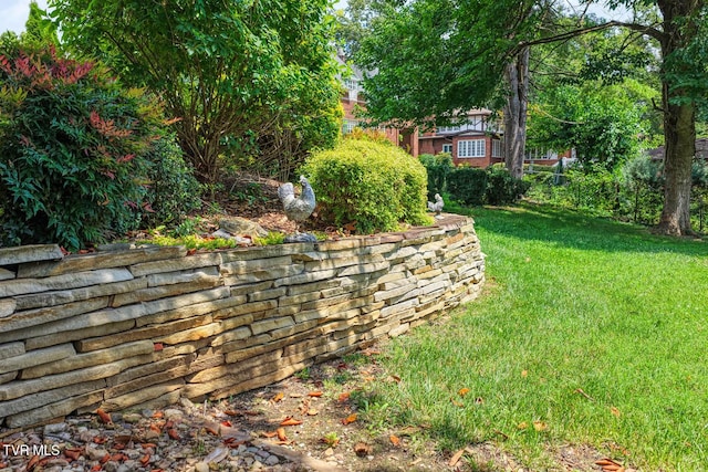 1261 Watauga St, Kingsport, TN 37660 - view of green lawn