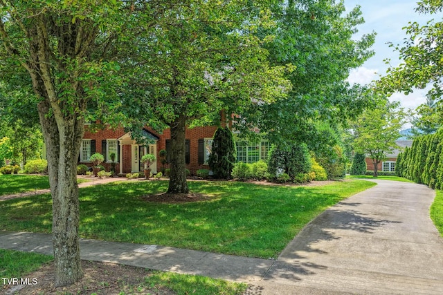 1261 Watauga St, Kingsport, TN 37660 - obstructed view of property with a front lawn and brick siding