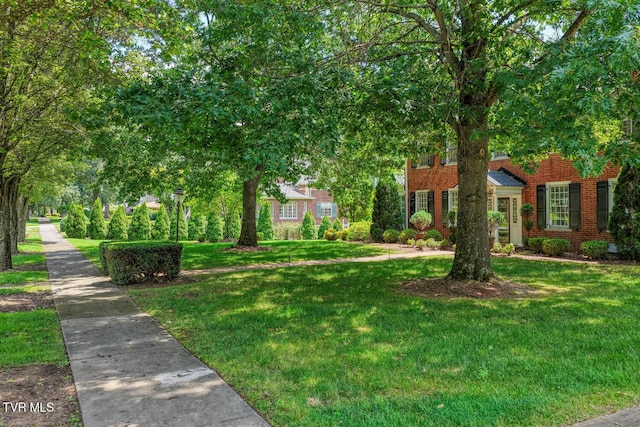 1261 Watauga St, Kingsport, TN 37660 - view of front of home with a front lawn and brick siding