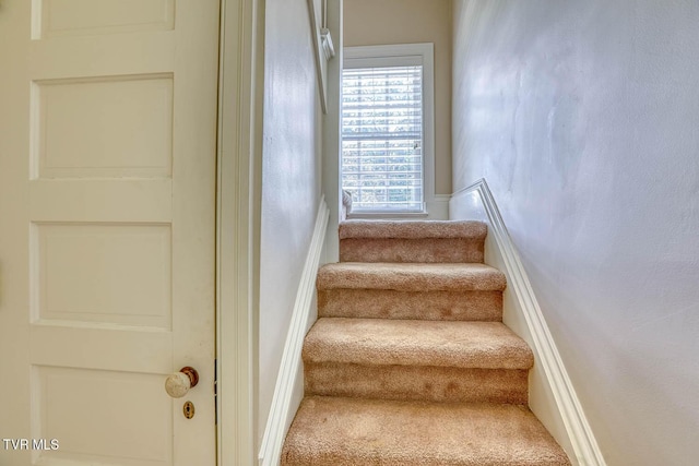 1261 Watauga St, Kingsport, TN 37660 - stairs featuring carpet flooring