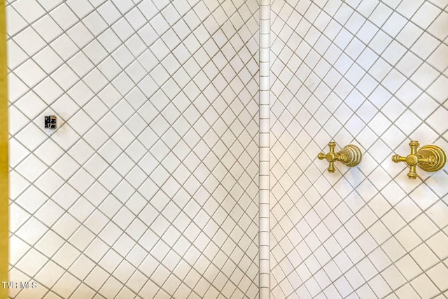 1261 Watauga St, Kingsport, TN 37660 - bathroom view of tiled shower